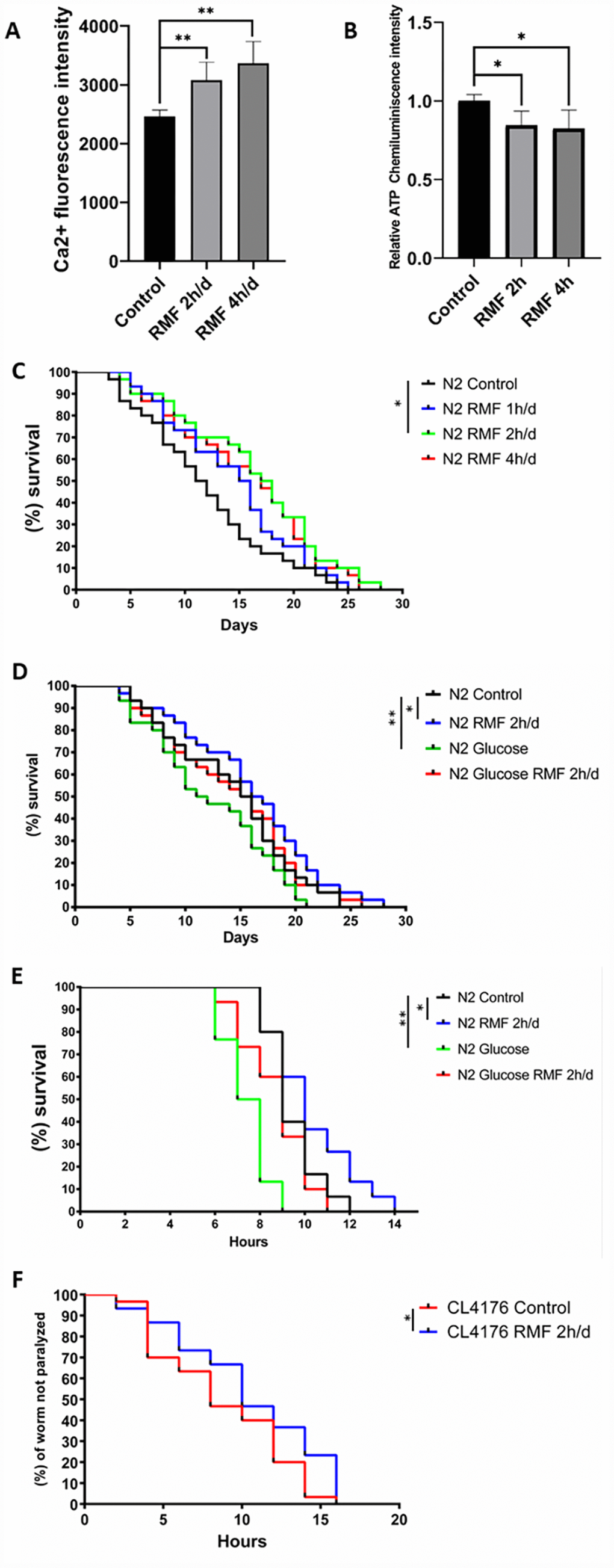 RMF increased the lifespan of C. elegans and reduced damage under stress conditions. (A, B) Changes of Ca2+ and ATP levels in C. elegans after RMF treatment. (C) The lifespan of 240 N2 C. elegans eggs following RMF treatment for 0 h/d (control), 1 h/d, 2 h/d and 4 h/d was recorded. (D) The lifespan of 240 N2 C. elegans eggs following RMF treatment for 0 h/d (control) and 2 h/d in the presence and absence of glucose was recorded. (E) Worms were treated with RMF for 0 h/d (control) and 2 h/d at 20°C for 4 days, and then exposed to thermal shock at 37°C. (F) Curves showing the non-paralyzed fraction nematodes in each group following treatment of C. elegans eggs with RMF for 0 h/d (control) and 2 h/d. CL4176 C. elegans were raised from the egg stage to the L3 stage at 15°C and then transferred to an environment at 25°C.