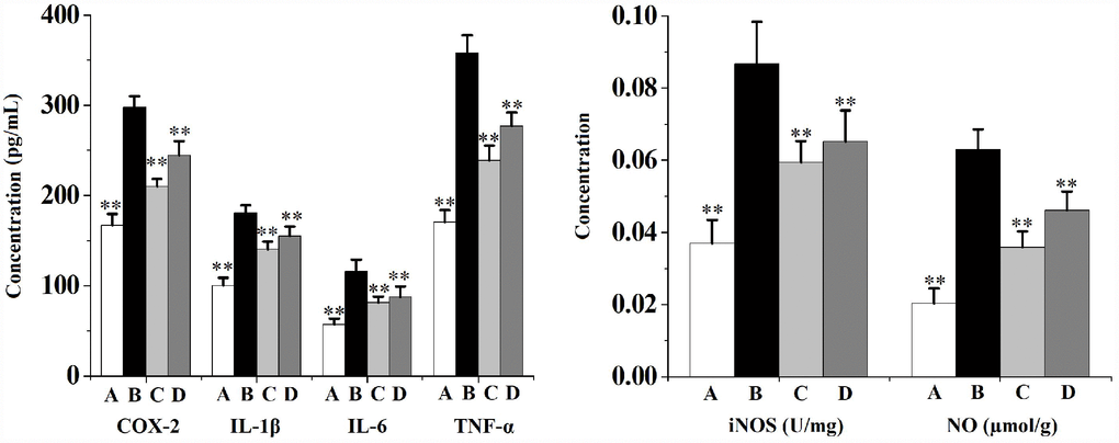 Prostate levels of proinflammatory cytokines (IL-1β, IL-6 and TNF-α) and inflammatory-related factors (COX-2, iNOS and NO) in rats (n=6 per group).**p