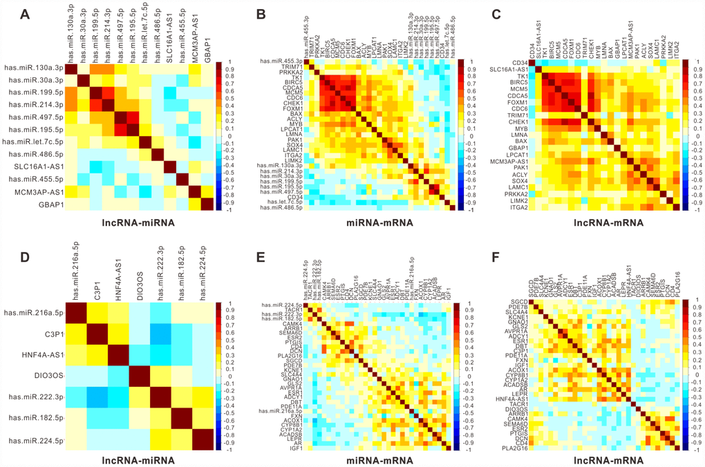 Pearson correlation analysis for six key lncRNAs with their associated miRNA and mRNAs in 366 HCC patients from TCGA. Pearson correlograms of lncRNA-miRNA paris (A), lncRNA-mRNA pairs (B) and mRNA-miRNA pairs (C) in upregulated lncRNAs including GBAP1, MCM3AP-AS1 and SLC16A1-AS1. lncRNA-miRNA paris (D), lncRNA-mRNA paris (E) and mRNA-miRNA paris (F) in downregulated lncRNAs including C3P1, HNF4A-AS1 and DIO3OS by Pearson correlation analysis. The correlation coefficient R value ranges from -1 to 1, the color of which changes from blue to brown.