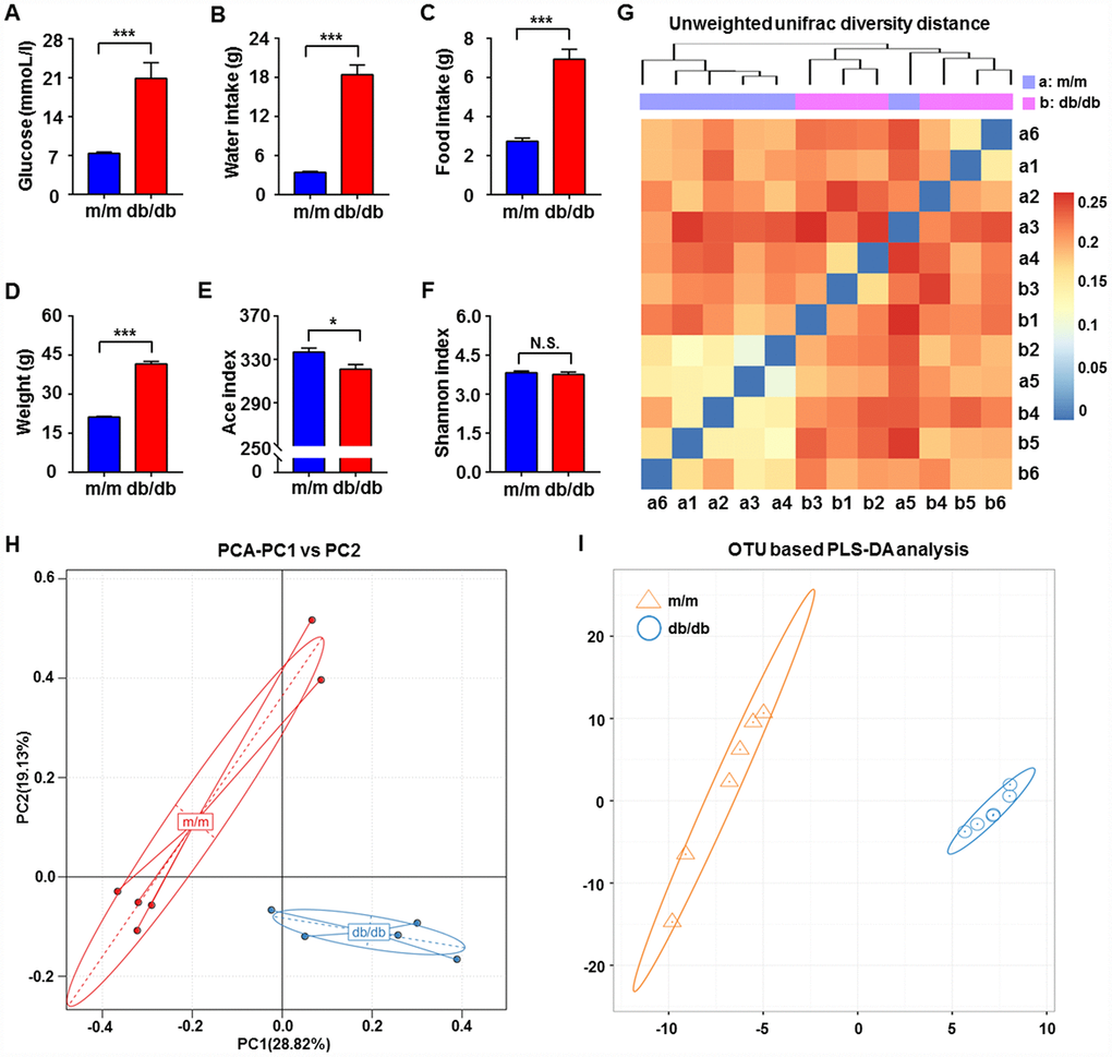 Comparisons of metabolic parameters and gut microbiota profiles in db/db and m/m mice. (A) Blood glucose (t10 = 4.762, P B) water intake (t10 = 9.981, P C) food intake (t10 = 7.851, P D) body weight (t10 = 20.41, P E) Ace index (t10 = 2.823, P F) Shannon index (t10 = 0.6029, P > 0.05); (G) unweighted UniFrac diversity distance; (H) PCA analysis of gut bacteria (PC1 versus PC2); (I) PLS-DA analysis of the data of gut bacteria. Data are shown as mean ± SEM values (n=6). *P **P ***P 