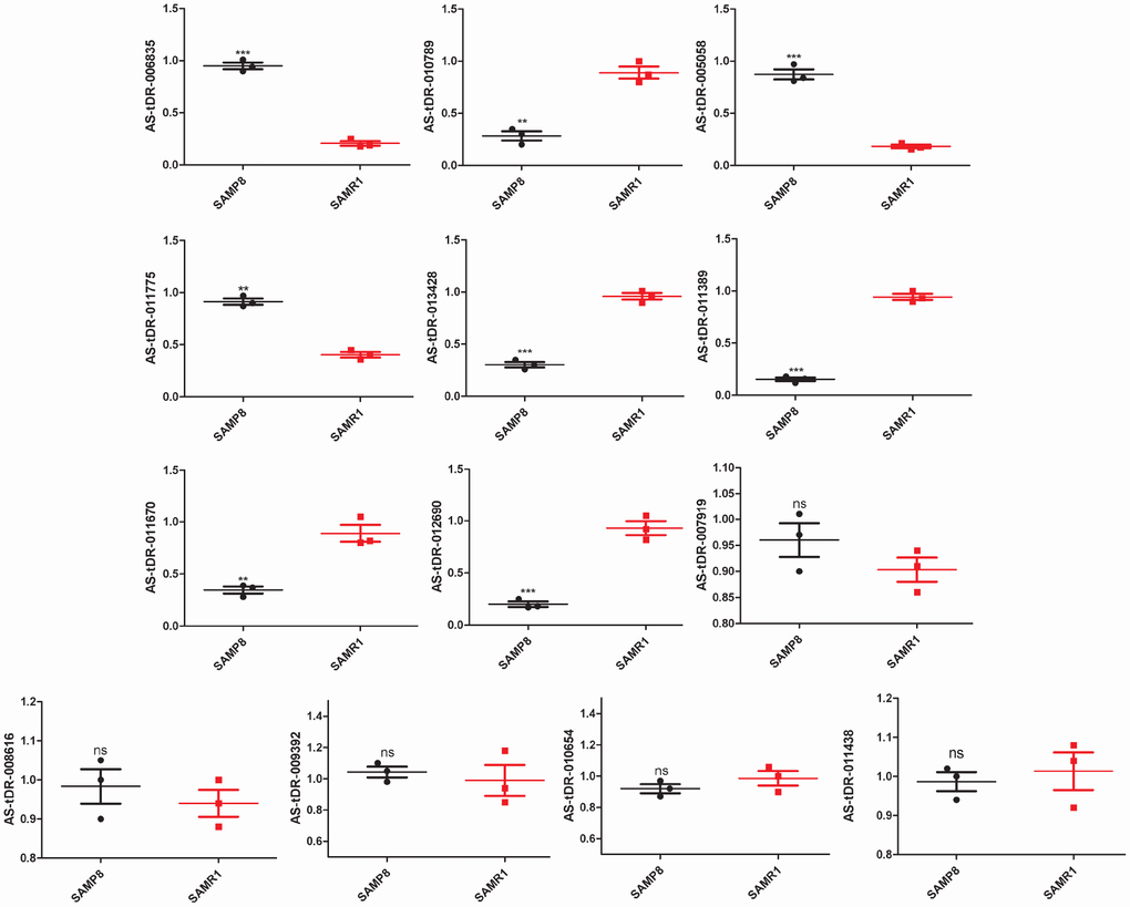 Validation of tRFs expression by quantitative polymerase chain reaction (qPCR). The U6 gene was used as a housekeeping internal control. The relative expression of each tRF was represented as mean ± SEM [n = 3, three mice per group (biological replicates), three times per mouse (technical replicates)]. *p p p 