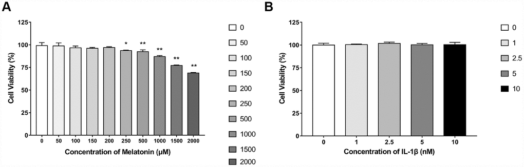 Effects of gradient concentrations of melatonin or IL-1β on the viability of NPCs for 24h detected by CCK-8 assay. (A) 0, 50, 100, 150, 200, 250, 500, 1000, 1500, 2000 μM melatonin treated NPCs for 24h (n=4). (B) 0, 1, 2.5, 5, 10 nM IL-1β treated NPCs for 24h (n=4). The values are expressed as mean ± SD. *P