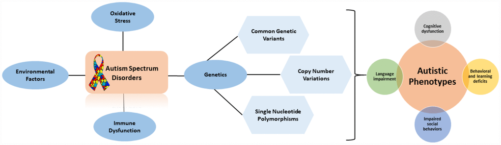 Association of genes with phenotype in autism spectrum disorder
