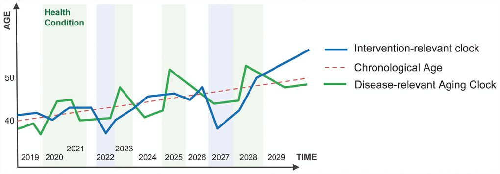 Disease-relevant aging clocks and Intervention-relevant aging clocks. The disease-relevant clock may indicate the presence or onset of a specific disease (e.g. the patient consistently "looks" older to the system then the chronological age). Intervention-relevant clocks may change in response to the intervention (e.g. the patient is consistently predicted younger than the chronological age in response to intervention).