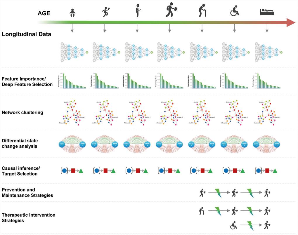 Using age predictors within specified age groups to infer causality and identify therapeutic interventions