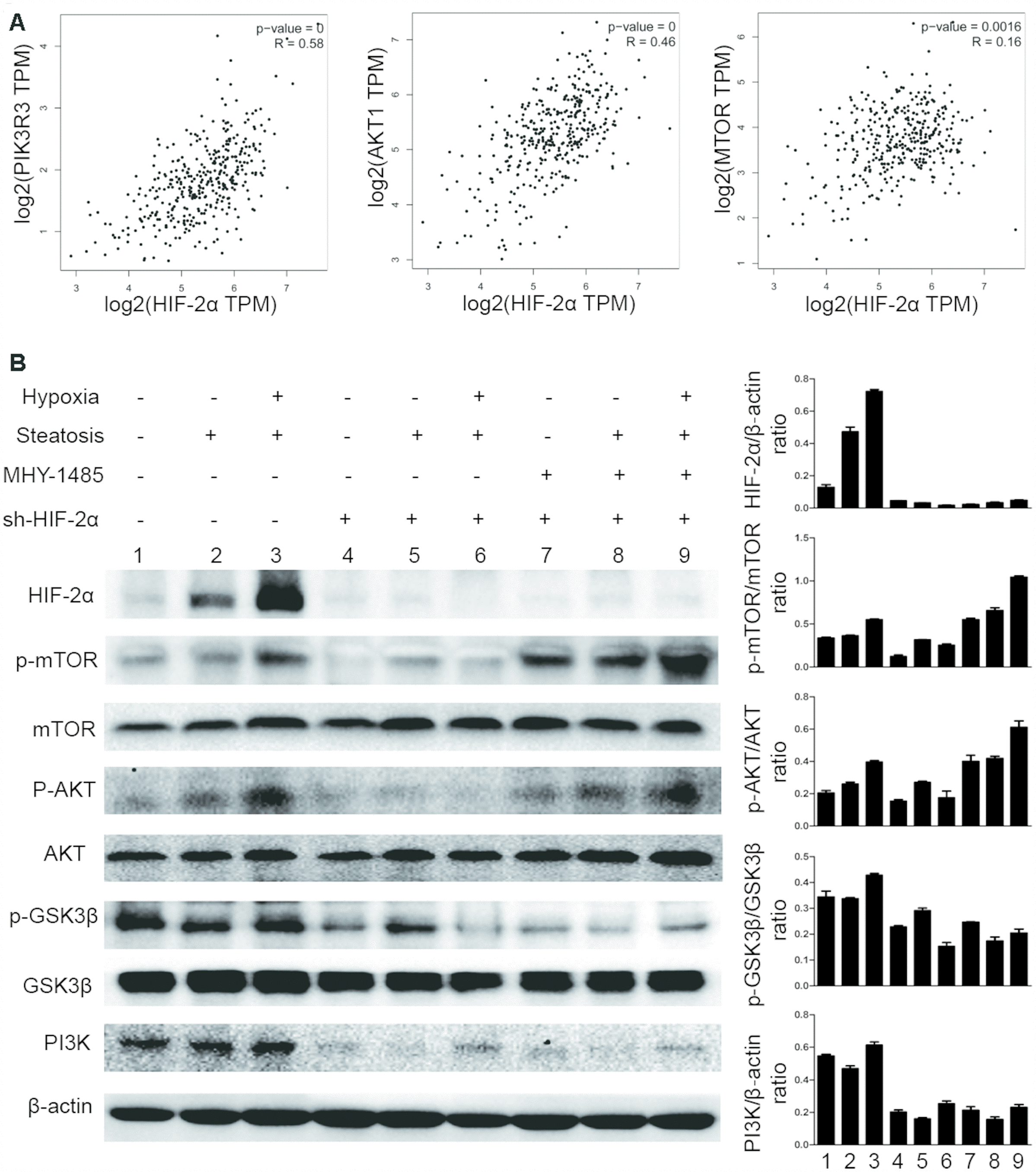 class="figure-viewer-img"