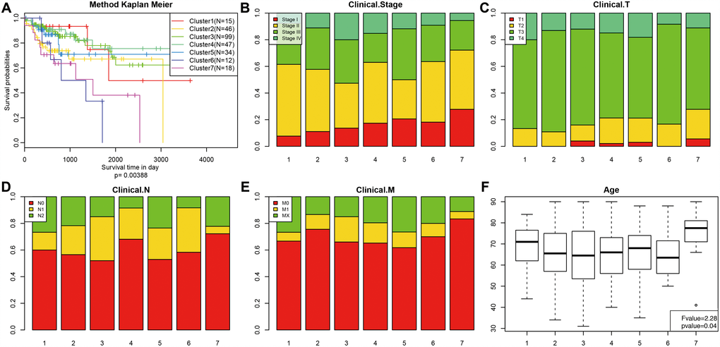 Comparison of prognosis, TNM stage, grade, and age between the DNA methylation clusters. (A) Survival curves for each DNA methylation subtype in the training set. The horizontal axis represents survival time (days), and the vertical axis represents the probability of survival. The number of samples in each cluster is shown in parentheses in the legend. The log-rank test was used to assess the statistical significance of differences between subtypes. Stage score (B), topography score (C), lymphocyte infiltration (D), metastasis (E), and age (F) distributions for each DNA methylation subtype in the training set. The horizontal axis represents the DNA methylation clusters.