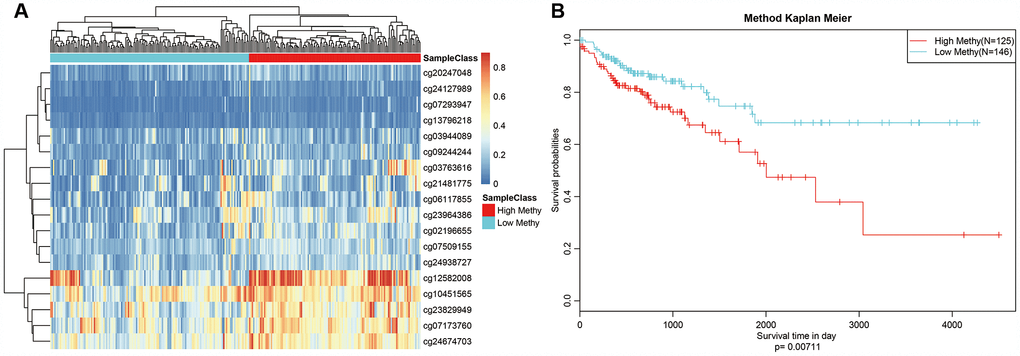 Box plot of CpG methylation levels of the 7 Clusters. Cluster 4 has the lowest CpG methylation level.