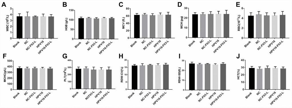 The nucleic acid vaccine had no effect on blood counts in mice. (A–J) The plasma levels of WBC (A), HGB (B), MCV (C), MCH (D), RBC (E), MCHC (F), PLT (G), RDW-CV (H), RDW-SD (I) and HCT (J) in mice were detected with a cellular counter.