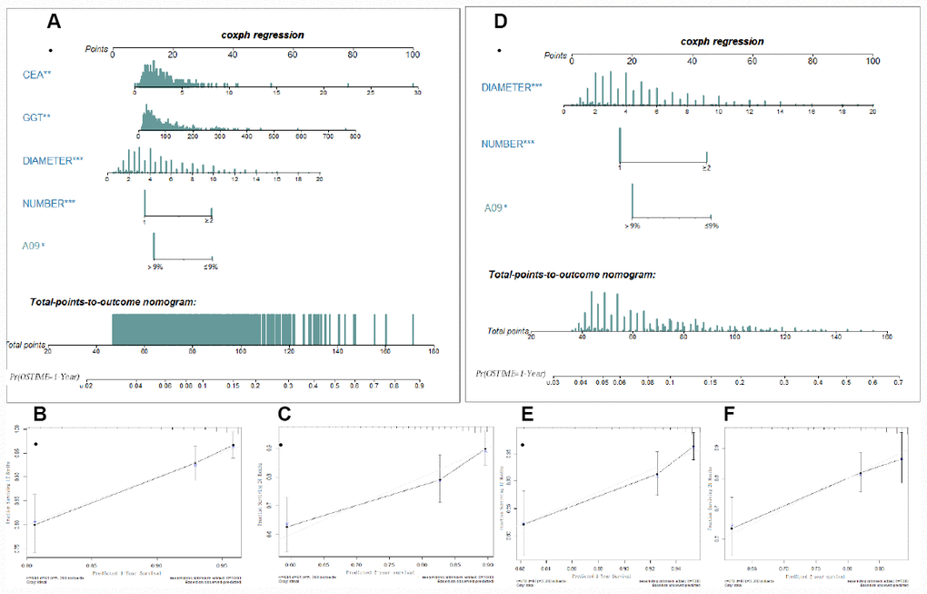 Nomogram (FDZS5 and FDZS3) and validation to predict the probabilities of 1-year and 2-year overall survival for AFP elevated HCC patients after resection. To use the FDZS5 (A) or FDZS3 (D), an individual patient’s value is located on each variable axis, and a line is drawn upward to determine the points for each variable. The sum of these points is located on the Total Points axis, and a line is drawn downward to the survival axes to determine the likelihood of 1-year OS. CEA, GGT, tumor diameter (cm), tumor number (1 or ≥2), A09 were used in the model. The calibration curve for predicting patient survival at (B, E) 1 years and (C, F) 2 years in the training set, Nomogram-predicted probability of overall survival is plotted on the x-axis; actual overall survival is plotted on the y-axis.