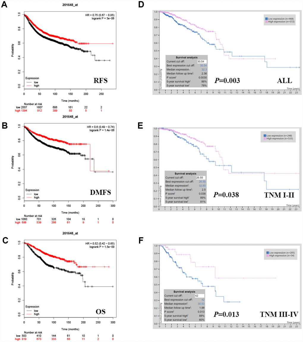 Kaplan-Meier survival curves comparing the high and low expression of JAK1 in breast cancer. In the Kaplan-Meier plotter database, high JAK1 expression was correlated with good. (A) RFS (HR[95% CI] = 0.75[0.67-0.85], P = 3e-06) (B) DMFS (HR[95% CI] = 0.6[0.49-0.74], P = 1.4e-06) and (C) OS (HR[95% CI] = 0.52[0.42-0.65], P = 1.5e-09). In TCGA data, high JAK1 expression was also correlated with good OS. (D) All breast cancers (P = 0.0030), (E) TNM I-II (P = 0.038) (F) TNM III-IV (P = 0.013).