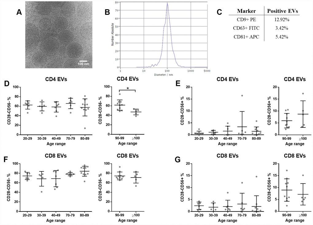 Plasma extracellular vesicle characterization. T cell and senescence markers are present on plasma EVs, but no differences were found between EVs from different age ranges (n=49 donors). (A) Representative cryoEM image of isolated EVs. (B) Representative figure of particle size distribution of EVs obtained by NTA. (C) Percentage of particles positive for EV characteristic markers assessed by flow cytometry. (D, E) Senescence markers on CD3+CD4+ and (F-G) on CD3+CD8+ EVs assessed by flow cytometry. Age range in years.