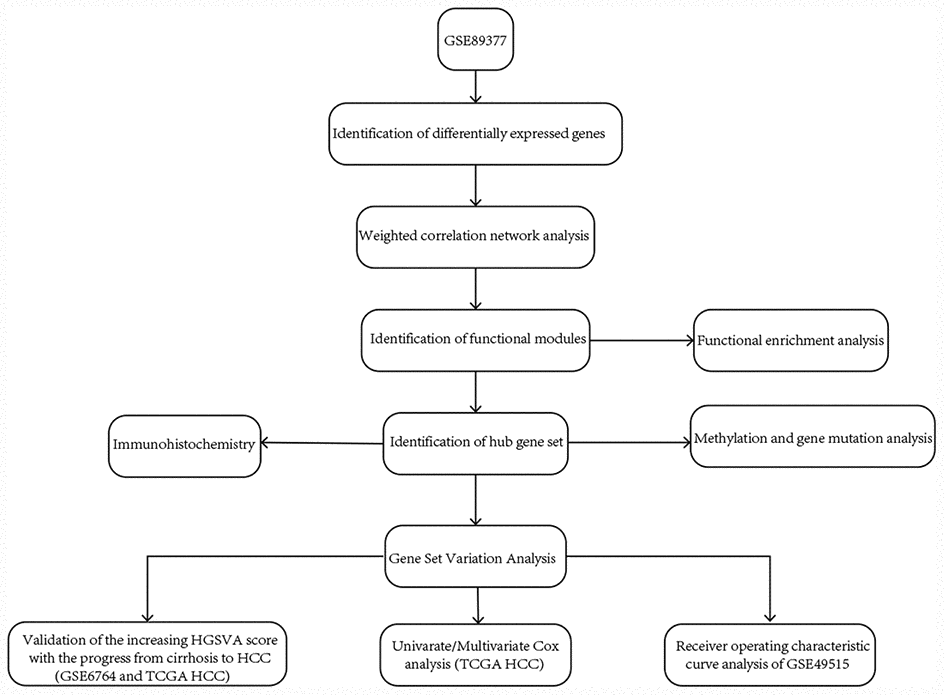 The workflow of the present study.