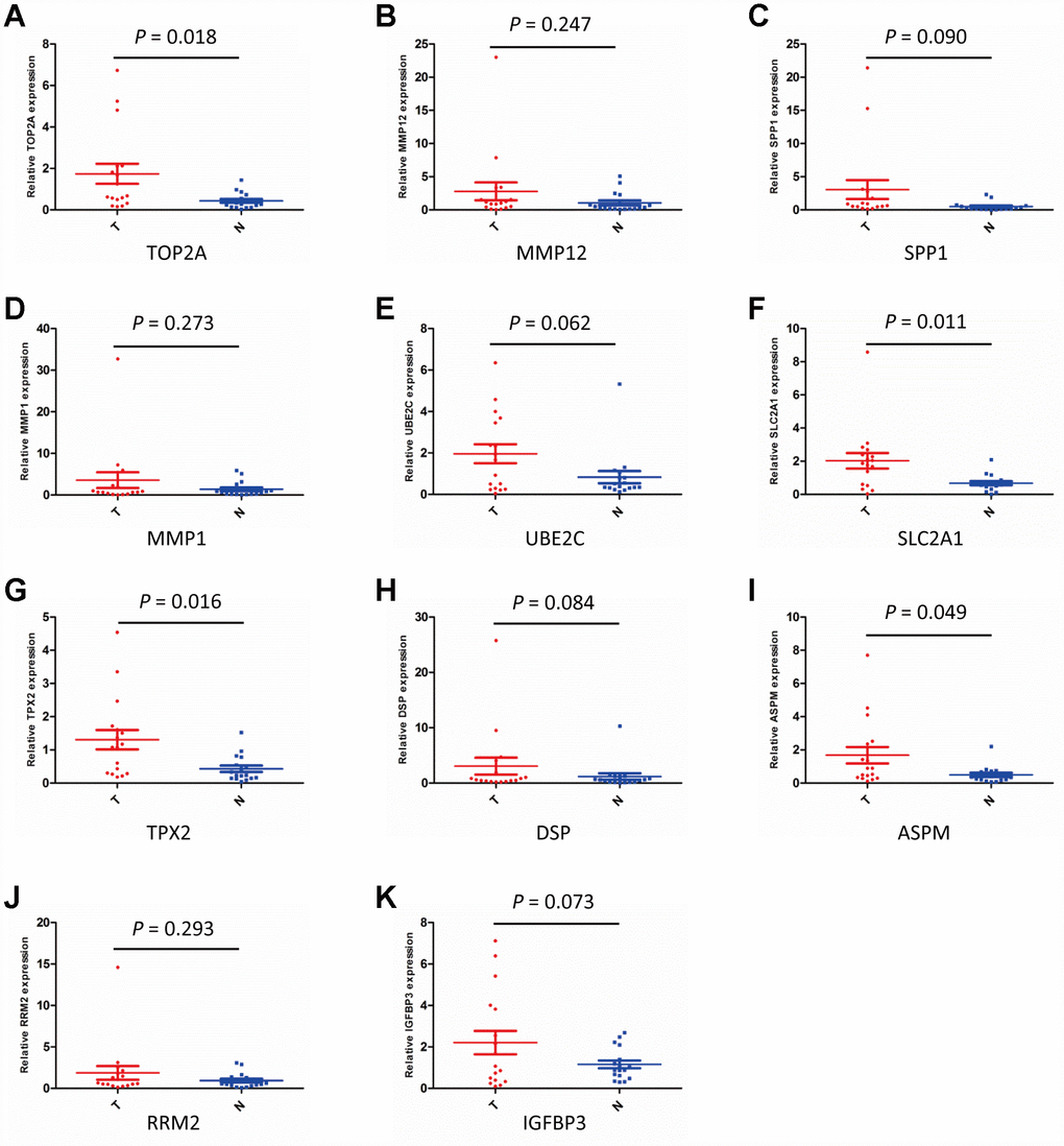 Validation of DEGs expression by qPCR. (A–K) Detection of DEGs expression in NSCLC (T) and adjacent non-tumor lung specimens (N) using qPCR. (n = 17; P 