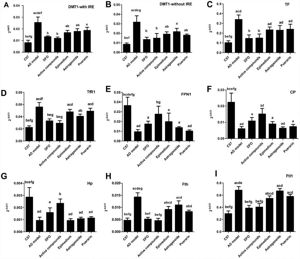 Effects of the active compounds containing the effective components of Epimedium, Astragaoside and Puerarin on the mRNA expression levels of the iron uptake protein including DMT1-with IRE, DMT1-without IRE, TF, TfR1, iron release protein including FPN1, CP, HEPH; iron storage protein Ferritin, including Fth and Ftl1 in the cerebral cortex of AD transgenic mice. All data are expressed as the mean ± SD. Inter group differences were compared with multivariate analysis of variance followed by the least significant difference test. (A) P B) P C) P D) P E) P F) P 