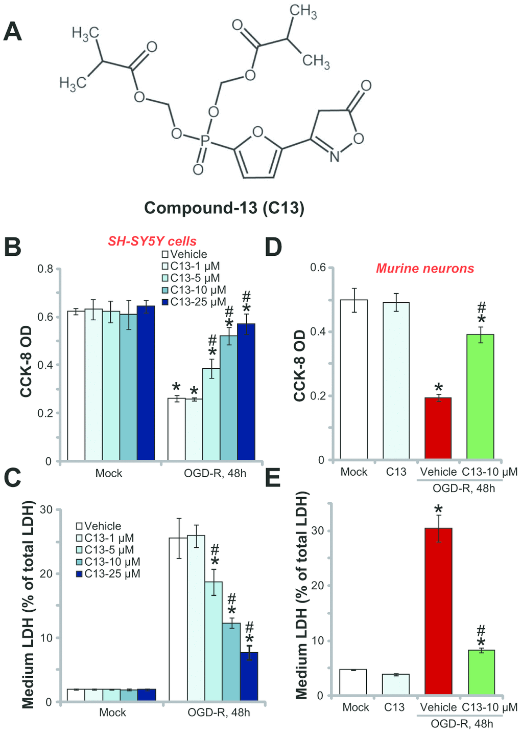 Compound 13 protected SH-SY5Y neuronal cells and primary neurons from OGD-R. The structure of C13 is shown in (A). SH-SY5Y human neuronal cells (B and C) or the primary murine hippocampal neurons (D and E) were treated with applied concentration (1–25 μM) of compound 13 (“C13”), together with/out OGD exposure for 4h, followed by 48h re-oxygenation (“OGD-R”), cell viability was tested by CCK-8 assay (B and D); Cell death was examined by medium LDH release assay (C and E). “OGD-R” stands for OGD/re-oxygenation (Same for all figures). “Mock” stands for Mock control cells (no OGD-R, same for all Figures). “Vehicle” stands for the vehicle for C13 (0.1% DMSO, same for all Figures). For the OGD-R experiments, neuronal cells were always pretreated with C13 for 2h before OGD (Same for all figures). Bars stands for mean ± standard deviation (SD, n=5). * pvs. “Mock” cells. #pvs. cells with “OGD-R” treatment (no C13 pretreatment). Each experiment was repeated four times with similar results obtained.