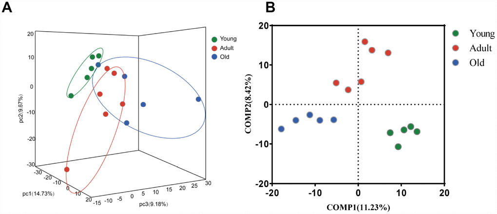 Comparison of the microbial composition between the young, adult and old groups. (A) 3-D Principle component analysis (PCA) plot of samples along principle component (PC) 1,2 and 3, which explained 14.73%, 9.67% and 9.18% of the total variance, respectively. (B) Partial least squares discriminant analysis (PLS-DA) plot of gut microbiota among three groups: young (n=5, 2–4 years, green dots), adult (n=6, 5–13 years, red dots) and old (n=5, 17–20 years, blue dots).