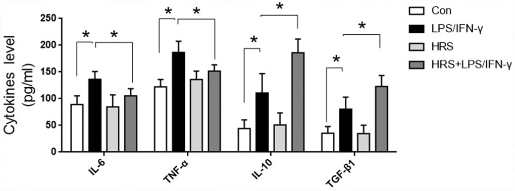Hydrogen-rich medium increased M2 macrophage-associated anti-inflammatory cytokine levels and reduced M1 macrophage-associated pro-inflammatory cytokine levels in RAW 264.7 cells after induction. Secretion of IL-6, TNF-α, IL-10 and TGF-β1 from macrophages. n=8 per group. Data are shown as the mean ± SEM. Significance was calculated by one-way ANOVA, *: P. Abbreviations: Con, control group; LPS/IFN-γ, RAW 264.7 cells treated with LPS and IFN-γ to induce polarization into M1-type macrophages; HRS, RAW 264.7 cells treated with hydrogen-rich medium only; HRS + LPS/IFN-γ, RAW 264.7 cells treated with hydrogen-rich medium after being treated with LPS and IFN-γ.