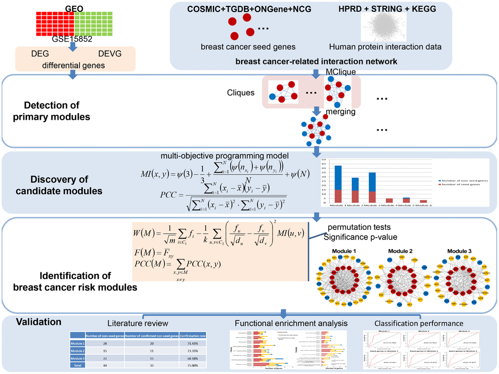 A schematic diagram of the integrated breast cancer risk module identification strategy.