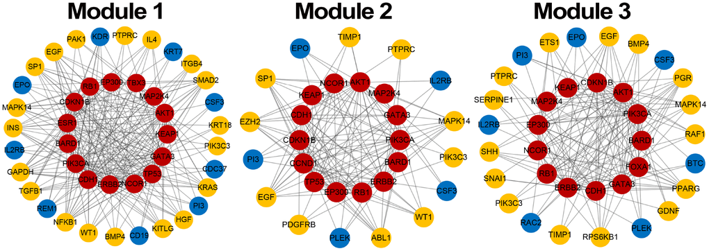 Breast cancer risk modules. Red nodes are seed genes, yellow are confirmed non-seed genes and blue are unconfirmed non-seed genes.