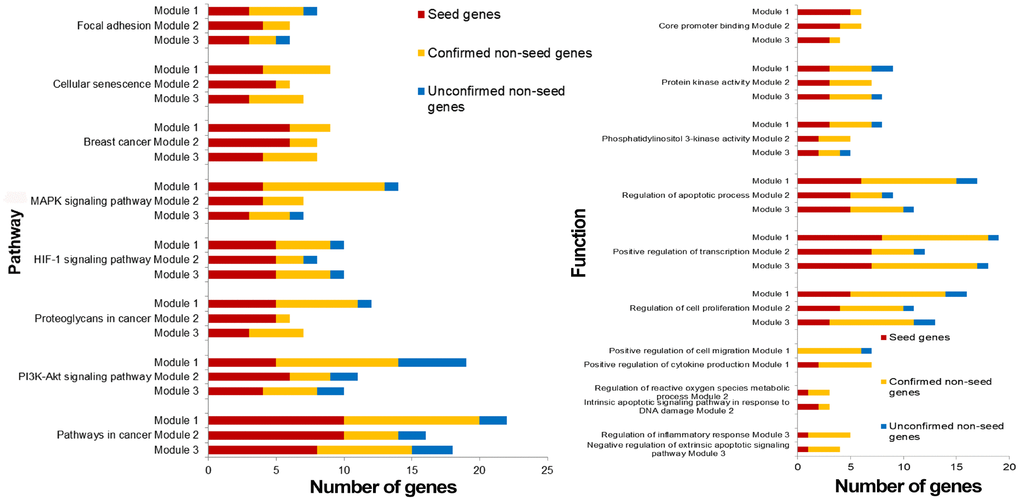 Pathways and functions enriched by breast cancer risk modules.