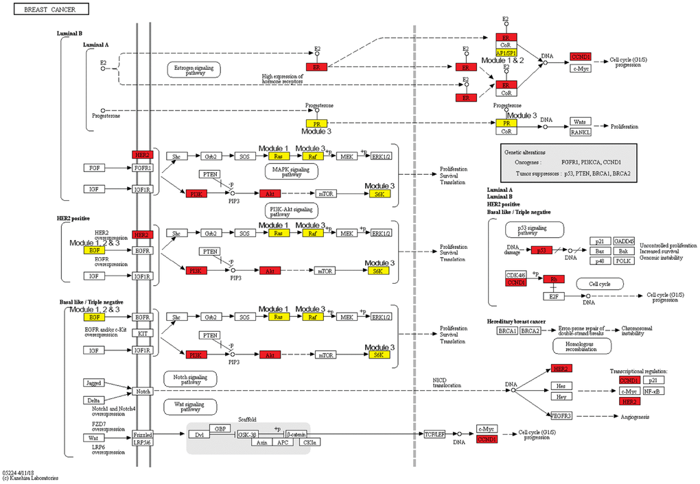The breast cancer pathway. Red nodes are seed genes and yellow are non-seed genes. Modules these genes belong to are marked beside them.