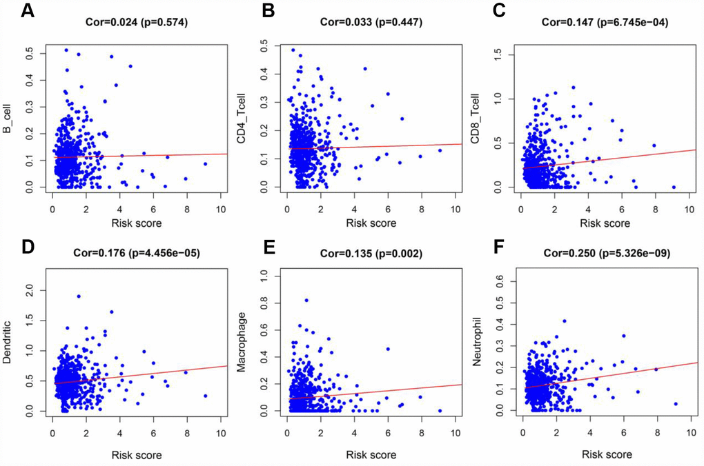 Analysis of the correlation between the risk score and immune cell infiltration in the entire TCGA cohort. (A) B cells. (B) CD4+ T cells. (C) CD8+ T cells. (D) Dendritic cells. (E) Macrophages. (F) Neutrophils.