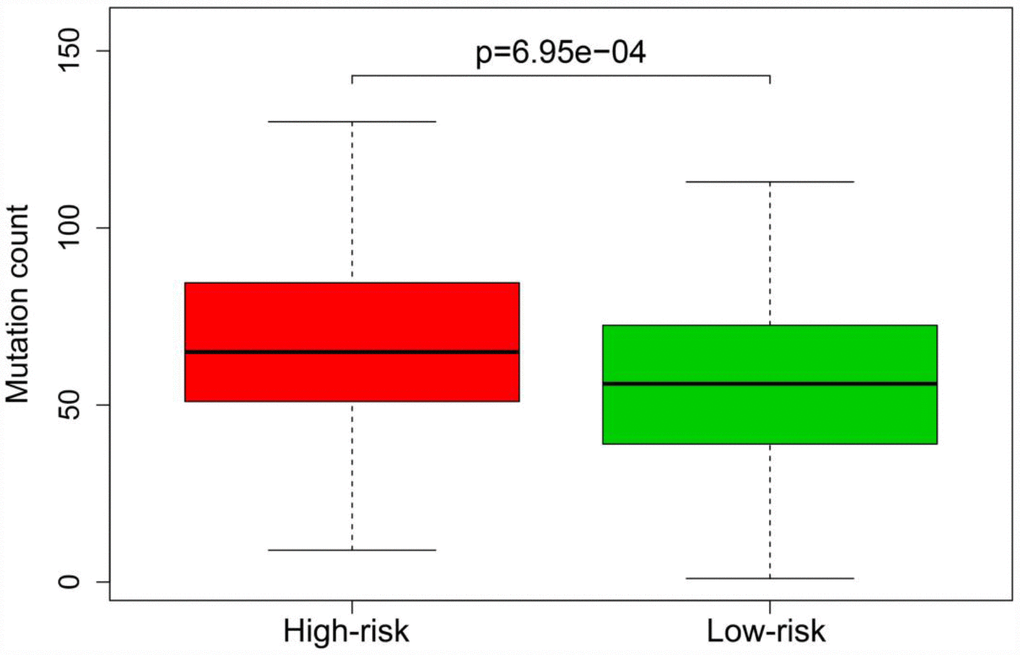 Mutation burden of patients in the high-risk and low-risk groups of the entire TCGA cohort.