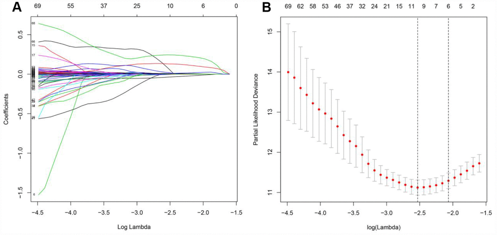 Further analysis of the PDEIRGs in the training cohort. (A and B) PDEIRGs selected through Lasso regression.