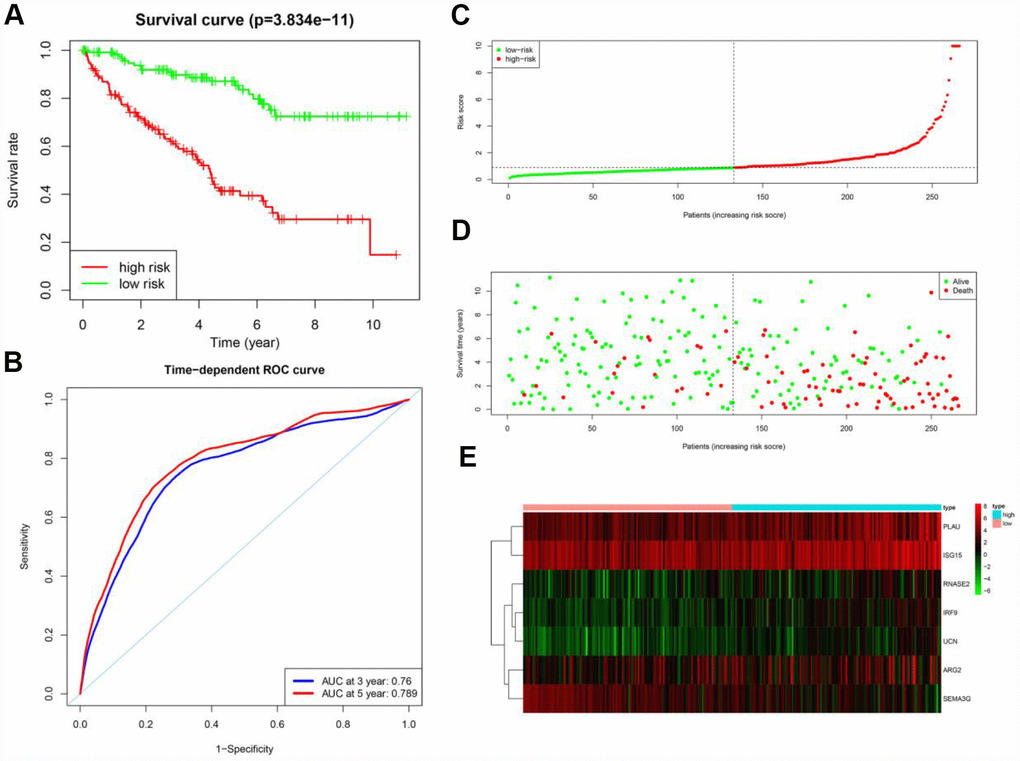 Prognostic analysis of the training cohort. (A) Kaplan-Meier curve analysis of the high-risk and low-risk groups. (B) Time-dependent ROC curve analysis of the prognostic model. (C) Risk score distribution of patients in the prognostic model. (D) Survival status scatter plots for patients in the prognostic model. (E) Expression patterns of risk genes in the prognostic model.