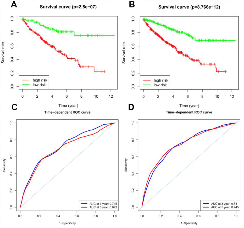 Prognostic analyses of the testing cohort and the entire TCGA cohort. (A) Kaplan-Meier curve analysis of high-risk and low-risk patients in the testing cohort. (B) Kaplan-Meier curve analysis of high-risk and low-risk patients in the entire TCGA cohort. (C) Time-dependent ROC curve analysis of the testing cohort. (D) Time-dependent ROC curve analysis of the entire TCGA cohort.