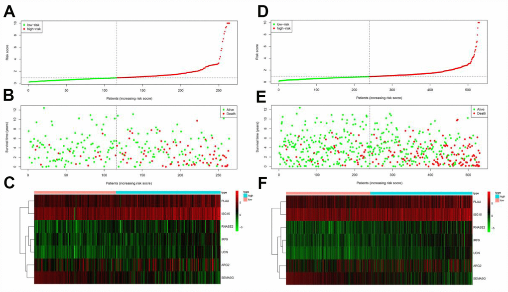 Prognostic analyses of high-risk and low-risk patients in the testing cohort and the entire TCGA cohort. (A) Risk score distribution of patients in the testing cohort. (B) Survival status scatter plots of patients in the testing cohort. (C) Expression patterns of risk genes in the testing cohort. (D) Risk score distribution of patients in the entire TCGA cohort. (E) Survival status scatter plots of patients in the entire TCGA cohort. (F) Expression patterns of risk genes in the entire TCGA cohort.