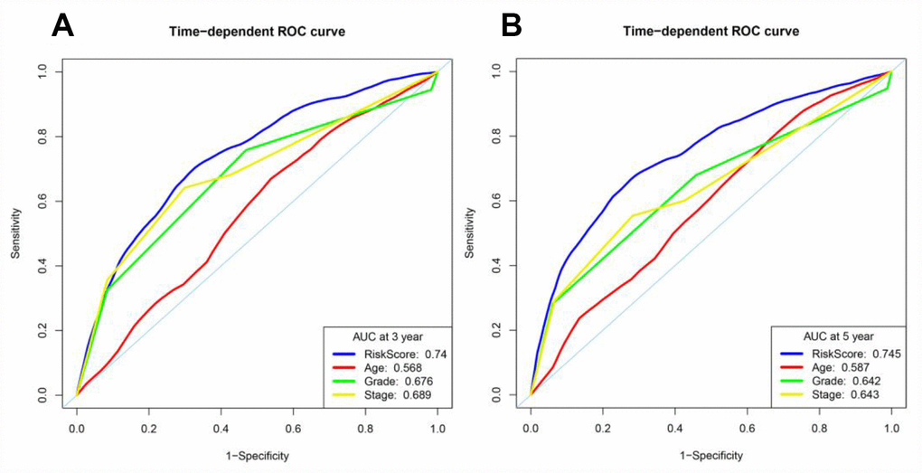 Time-dependent ROC curve analyses of different variables in the entire TCGA cohort at three and five years. (A) AUC at three years. (B) AUC at five years.