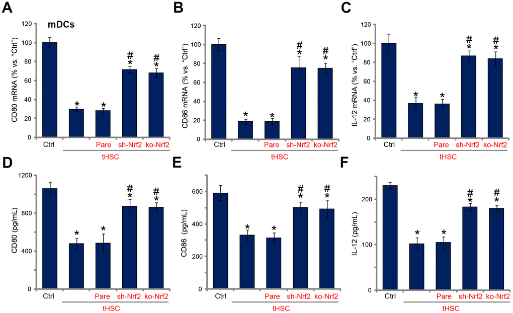 tHSCs-induced Nrf2 activation in mDCs contributes to inhibition on cytokines. The stable bone marrow-derived dendritic cells (mDCs), with Nrf2 shRNA (“sh-Nrf2”) or Nrf2 KO construct (“ko-Nrf2”), as well as the parental control mDCs (“Pare”), were co-cultured with tumor HSCs (tHSCs) for 72h, mRNA expression (qPCR assay, A–C) and protein contents (in conditional medium, ELISA, D–F) of listed cytokines were tested. Data are presented as the mean ± standard deviation (n=5). “Ctrl” stands for mDCs only. * P # P 