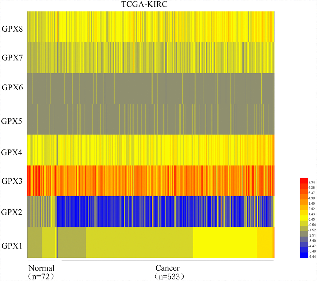 Heat map depicts the expression of GPXs family members in ccRCC samples from the TCGA-KIRC database (n=605). Red signifies high expression levels, blue signifies low expression levels, and yellow signifies medium expression levels. TCGA: The Cancer Genome Atlas; KIRC: kidney renal clear cell carcinoma.