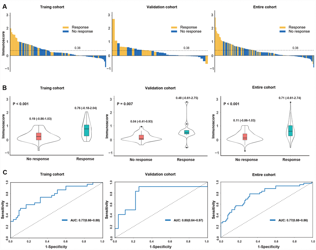 Distribution of the immunoscore and response status to anti-PD1 therapy in the training, validation and entire cohorts. (A) Waterfall plots for the distribution of the immunoscore and response status of individual patients. (B) Distribution of the immunoscore in responders and nonresponders. The box plots inside the violin indicate the median value and interquartile range of the immunoscore. We calculated the P-value with a one-way ANOVA test. (C) Receiver operating characteristic (ROC) curves of the immunoscore in three cohorts. The area under the ROC curve in the training, validation and entire cohorts was 0.77, 0.80 and 0.77, respectively.