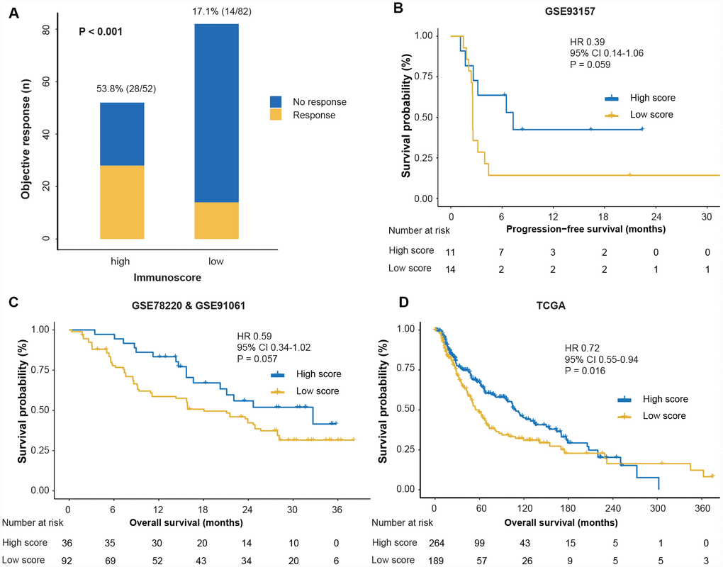Response and survival outcomes between high- and low-immunoscore groups. (A) Objective response rate between high- and low-immunoscore groups across the pre-anti-PD1 melanoma datasets. “Pre” indicates the biopsy before anti-PD1 therapy. We calculated the P-value with the χ2 test. (B) Comparison of PFS between high- and low-immunoscore groups in the GSE93157 dataset. (C) Comparison of the OS between high- and low-immunoscore groups in the GSE78220 and GSE91061 datasets. (D) Comparison of the OS between high- and low-immunoscore groups in the TCGA dataset. Hazard ratios (HR) and P-values were calculated using the Cox regression analysis and log-rank test; all statistical tests were two-sided. PD1, programmed death-1; OS, overall survival; PFS, progression-free survival; TCGA, The Cancer Genome Atlas.