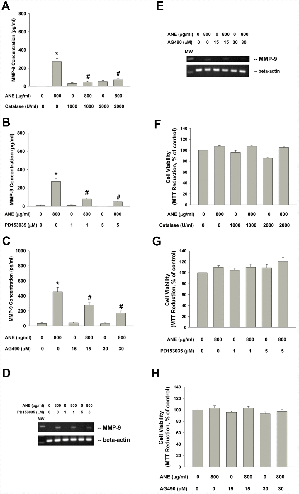 Effect of catalase, PD153035 and AG490 on ANE-induced MMP-9 expression/secretion of SAS cells. Effect of (A) catalase (1000 and 2000 U/ml), (B) PD153035 (1 and 5 μM) and (C) AG490 (15 and 30 μM) on ANE (800 μg/ml)-induced MMP-9 secretion in SAS oral cancer epithelial cells. Results were expressed as Mean ± SE (pg/ml). (D) Effect of PD153035 and (E) Effect of AG490 on ANE (800 μg/ml)-induced MMP-9 mRNA expression, Effect of (F) catalase, (G) PD153035 and (H) AG490 on ANE (800 μg/ml)-induced changes of cell viability of SAS oral cancer epithelial cells. (Mean ± SE, % of control). *denotes statistically significant difference when compared with control. #denotes statistically significant difference when compared with ANE-treated group.