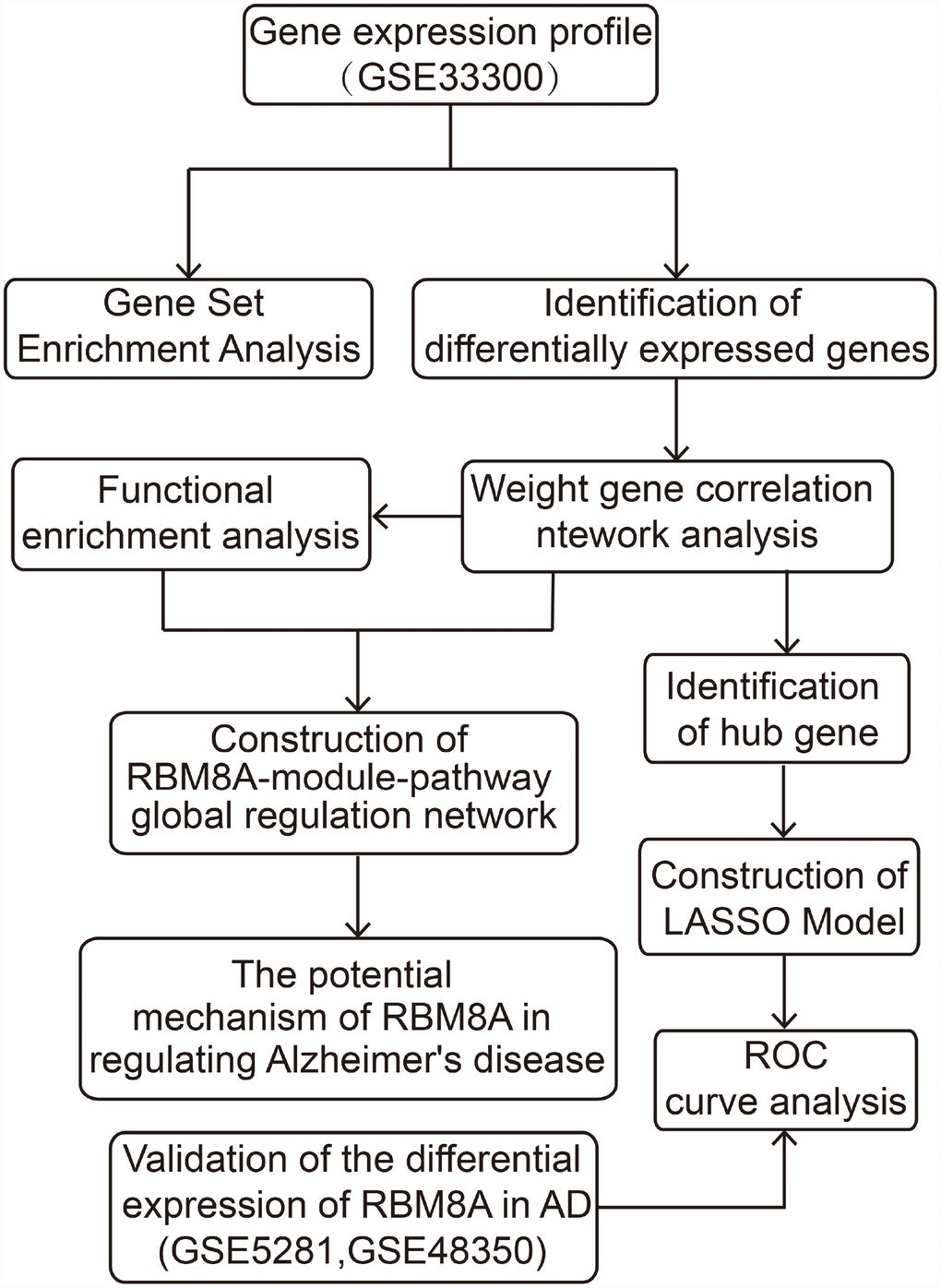 The workflow of the present study.