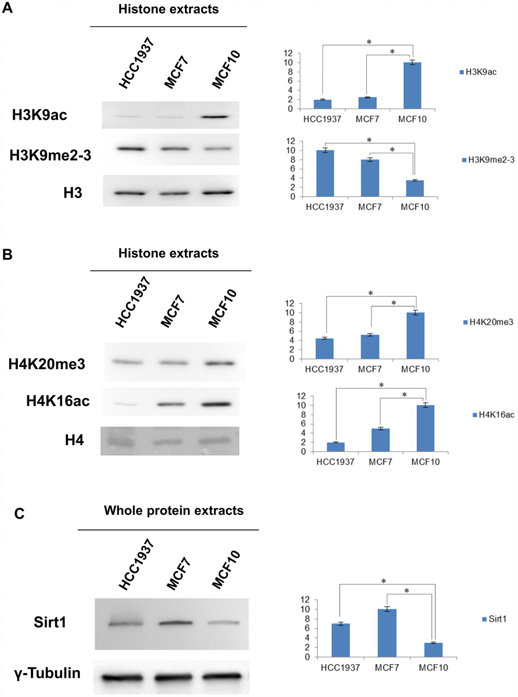 Western blot and densitometry analysis relative to the expression of histone marks and SIRT1 in MCF10, MCF7 and HCC1937 cells. (A) Western blot and densitometry analysis relative to the expression of histone marks in MCF10, MCF7 and HCC1937 cells. (A) H3K9ac, H3K9me2-3, PMTs signal were normalized against the total level of histone H3. (B) H4K20me3, H4K16Ac, PMTs signal were normalized against the total level histone H4. (C) Western blot and densitometry analysis of the expression levels of SIRT1 in whole protein extracts from MCF10, MCF7 and HCC1937 cells. A goat polyclonal anti-γ-Tubulin antibody was used (C-20) to confirm an equal loading of proteins. The assays were repeated in three independent biological replicates and statistically significant differences were determined using one-way ANOVA followed by Dunnett's multiple comparisons test. Data are expressed as mean ± SEM (N =3), p-value 