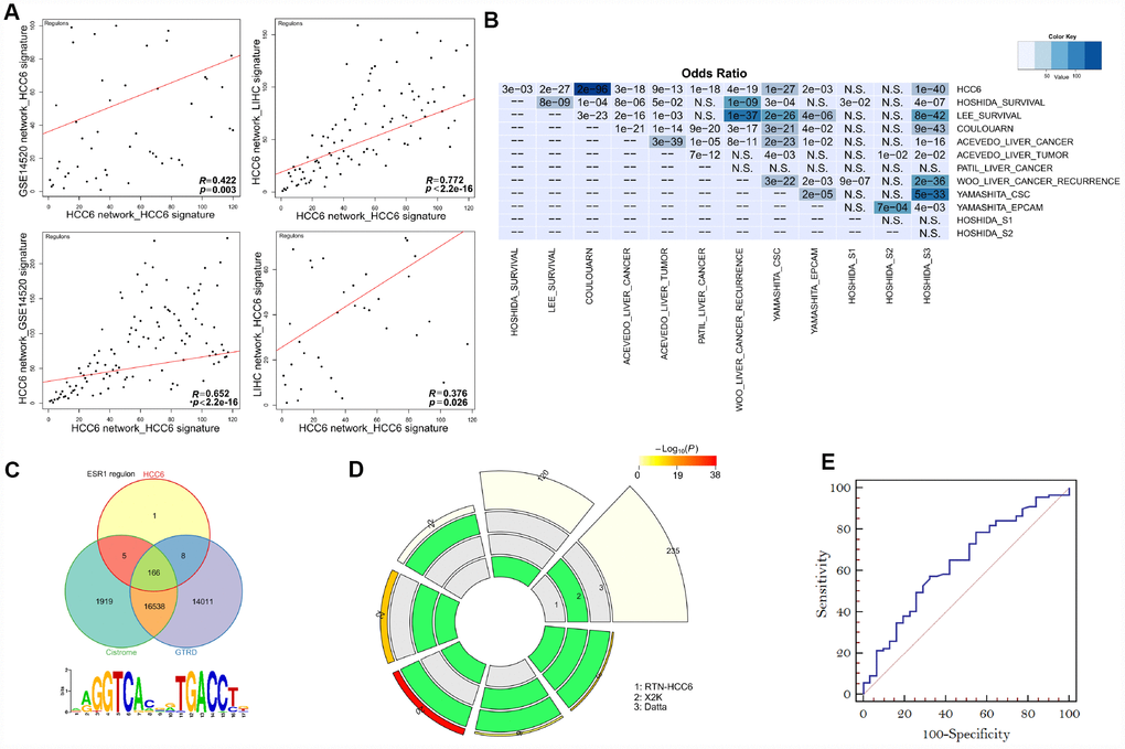 Performance of MR prediction. (A) MRs identified by using LIHC- and GSE14520-derived networks and the HCC6 signatures. The correlation coefficient R is given for each pairwise ranking. (B) Using HCC6 TN and different signatures, enrichment was estimated from the corresponding MRA analyses. The color key represents the odds ratios, and significant P-values are superimposed on the grids. (C) Venn diagrams showing overlap of the ESR1 regulon with corresponding targets from Cistrome and GTRD. The ESR1 motif was enriched in the ESR1 regulon (Pscan analysis). (D) A circular plot visualizing all intersections and the corresponding statistics among three MR discovery methods. The three tracks in the middle represent the three methods, with individual blocks showing “presence” (green) or “absence” (grey) of the gene sets in each intersection. The height of the bars in the outer layer is proportional to the intersection size, as indicated by the numbers on the top of the bars. The color intensity of the bars represents the significance (P value) of the intersections. (E) ROC curves plotted for MR prediction.