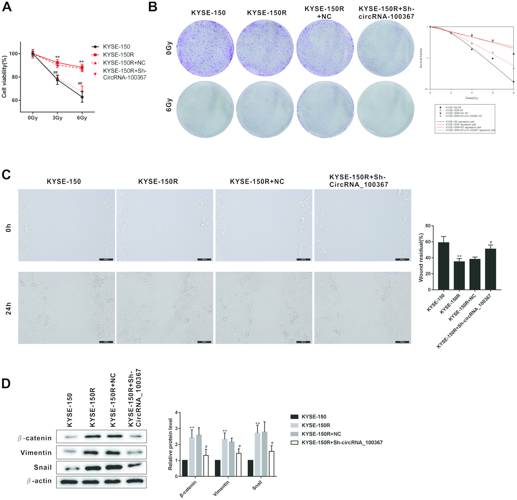 Effects of circRNA