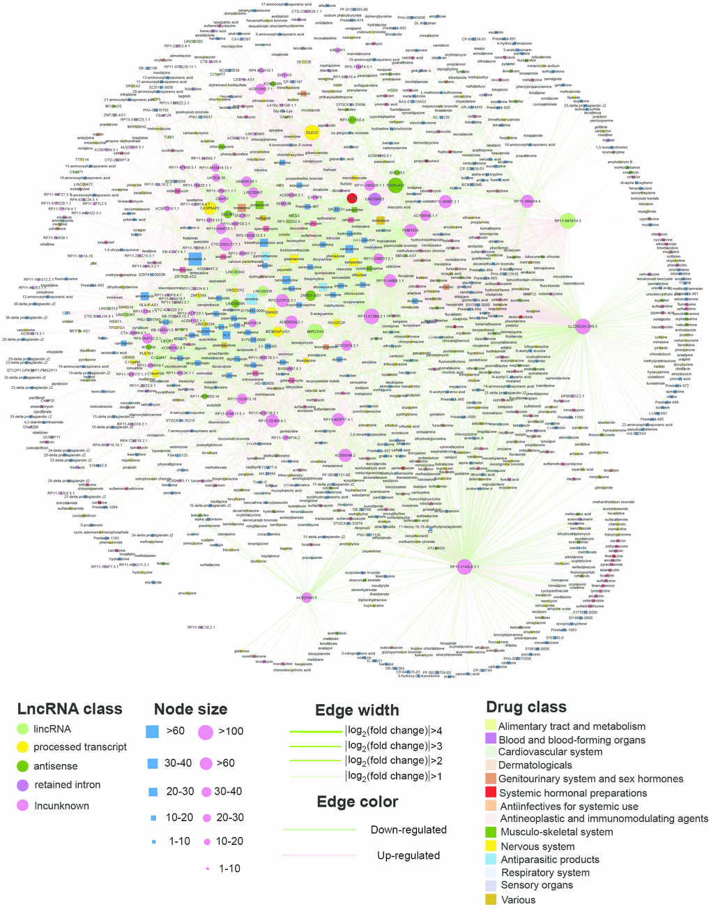 The SMLN network. The rectangles and circles in the network correspond to small molecules and lncRNAs, respectively. A small molecule and a lncRNA are connected by an edge if the lncRNA differentially expressed when treated with this small molecule. Colors represent different lncRNA and small molecule classes.