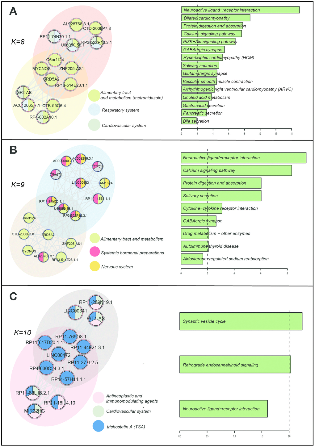 Drug-induced lncRNA modules and enriched KEGG pathways. (A) k=8. (B) k=9. (C) k=10. The K represents the number of the nodes in the modules.