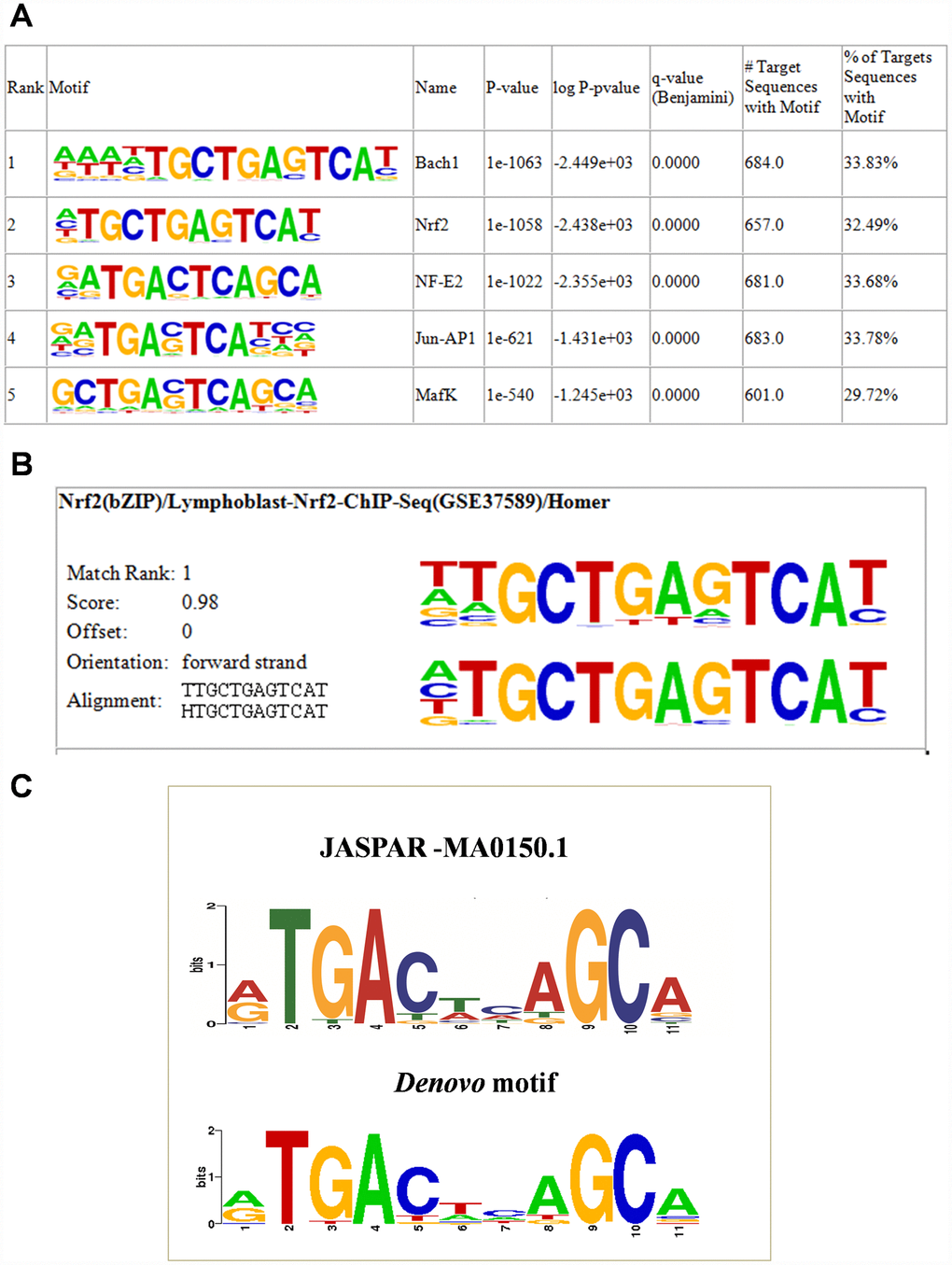 NRF2 TFBS motif enrichment analysis. (A) Enrichment of known motifs (target motifs vs. background known motifs) showing the top-ranked motif logos. (B) Logo showing the top ranked de novo motif identified using HOMER. (C) STAMP analysis results showing the logo of the de novo motif identified by HOMER (lower) highly matched the NFE2L2-JASPAR binding motif (upper).