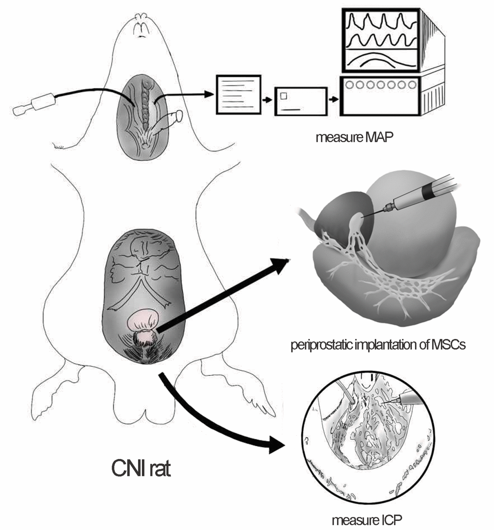 class="figure-viewer-img"