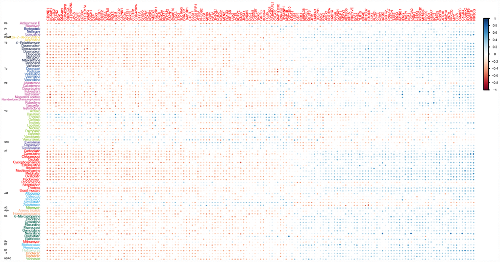 Correlations between drug sensitivity and the expression of ATG genes for at least ten drugs. Color bars indicate the Pearson’s correlation coefficient (PCC) between drugs and ATG genes. Different colors represent drugs with different MOA values. MOA: A2: alkylating at N-2 position of guanine; A6: alkylating at O-6 of guanine; A7: alkylating at N-7 position of guanine; AM: antimetabolite; Apo: apoptosis inducer; Db: DNA binder; Df: antifols (impairs the function of folic acids, which inhibits production of DNA, RNA, and proteins); DNMT: DNA methyltransferase inhibitor; Dr: ribonucleotide reductase inhibitor; Ds: DNA synthesis inhibitor; HDAC: Histone deacetylase; Ho: hormone; Pr: protease/proteasome; Rs: RNA synthesis inhibitor; STK: serine/threonine kinase inhibitor; T1: topoisomerase 1 inhibitor; T2: topoisomerase 2 inhibitor; Tu: tubulin-active antimitotic; YK: tyrosine kinase inhibitor.