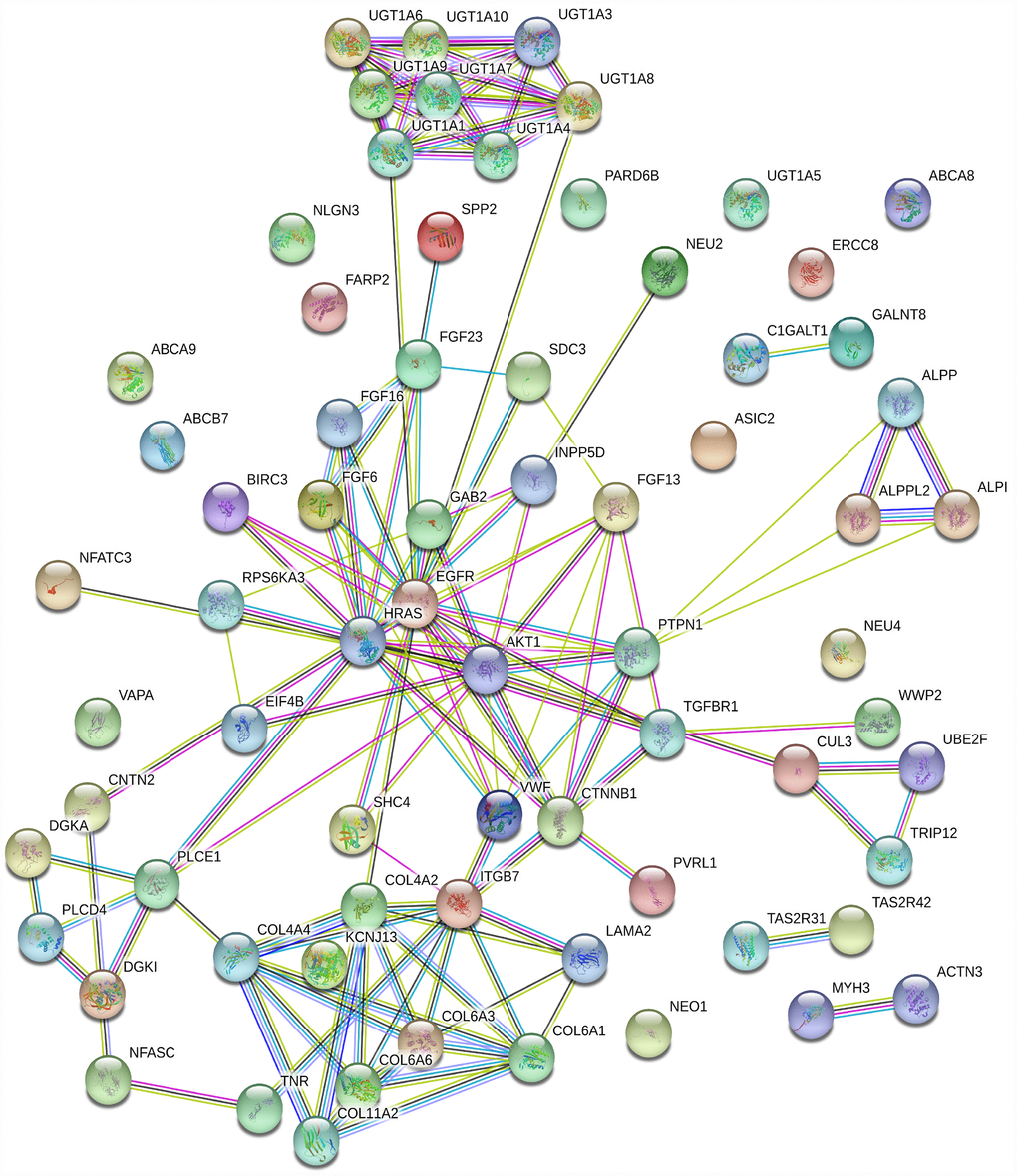 PPI network based on 71 genes. There are 54 nodes and 112 edges in the network. Nodes represent genes, and edges represent the interactions between genes.