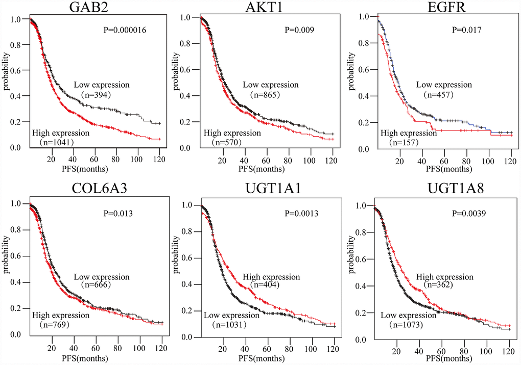 The expression of six genes predicts the prognosis of OC patients. The prognostic values of the six genes in OC patients were determined (P 