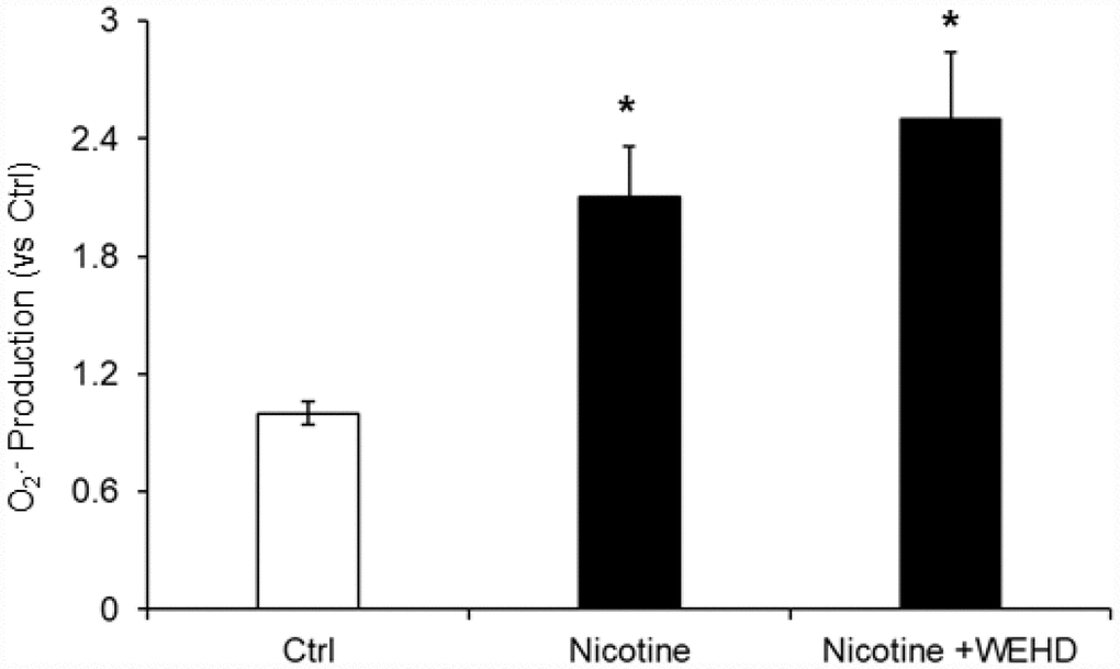 O2. – Production in podocytes with or without nicotine and/or WEHD treatment. Values are arithmetic means ± SE (n=4 each group) of O2. - production in podocytes with or without nicotine and/or WEHD treatment. Ctrl: Control, * Significant difference (P